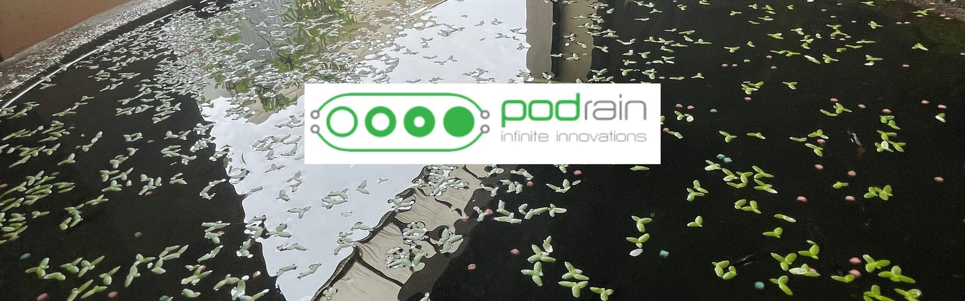 PODRAIN_Canva2